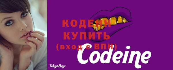 apvp Вязьма