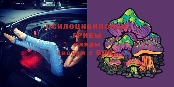 mix Вяземский