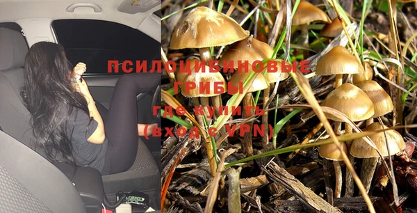 трава Верхний Тагил