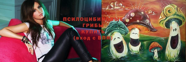 apvp Вязьма
