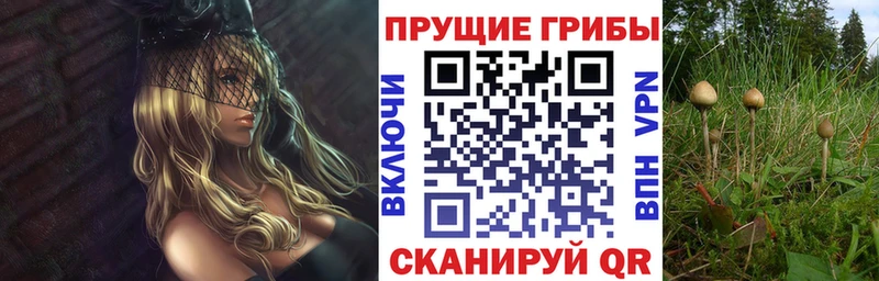 Псилоцибиновые грибы Magic Shrooms  Псков 